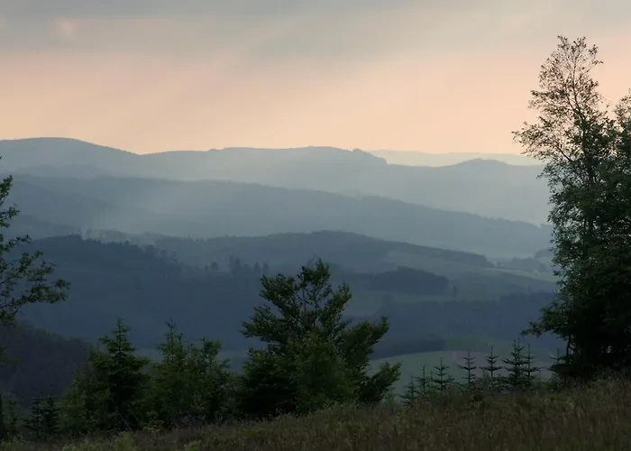 Hartmann 温特贝格